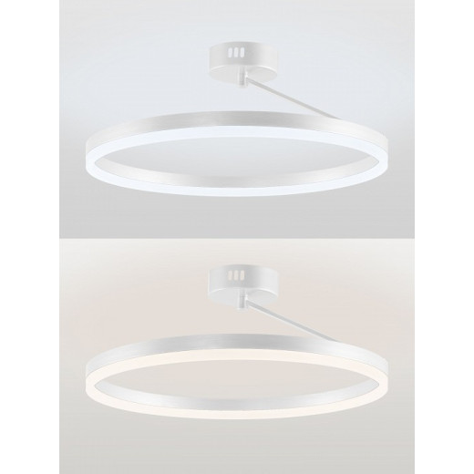 Светильник на штанге Natali Kovaltseva FINAM LED LAMPS 81121/1C