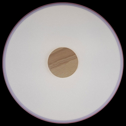 Накладной светильник Loft it Axel 2 10003/24 Pink