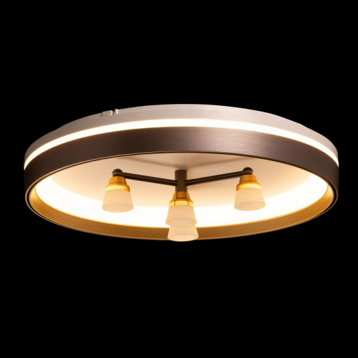 Потолочная люстра De City Семья 66 660014701