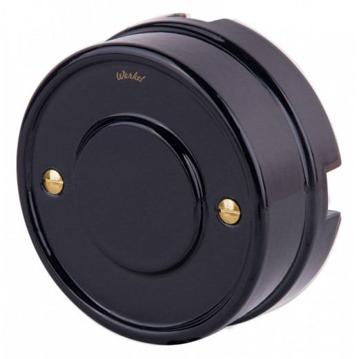 Винт Werkel Ретро (золото) WL18-22-01