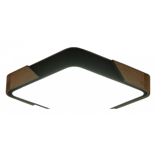 Накладной светильник Zortes Alberro ZRS.01281.48