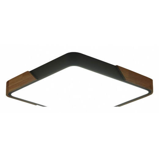 Накладной светильник Zortes Alberro ZRS.01288.48