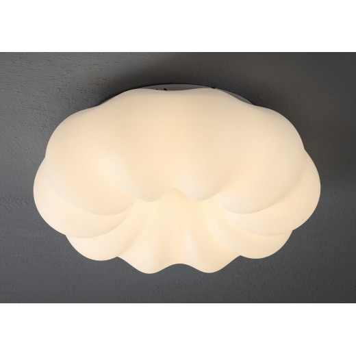 Накладной светильник Zortes Soft ZRS.1118.3