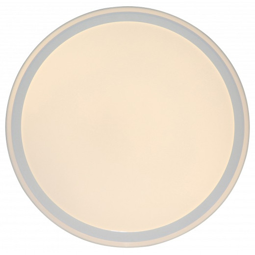 Накладной светильник Zortes Bella ZRS.1200.09