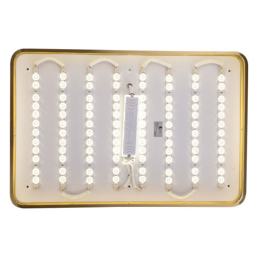 Накладной светильник Zortes Monna ZRS.1209.09