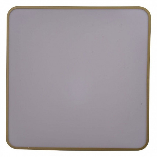 Накладной светильник Zortes Gabby ZRS.1215.04