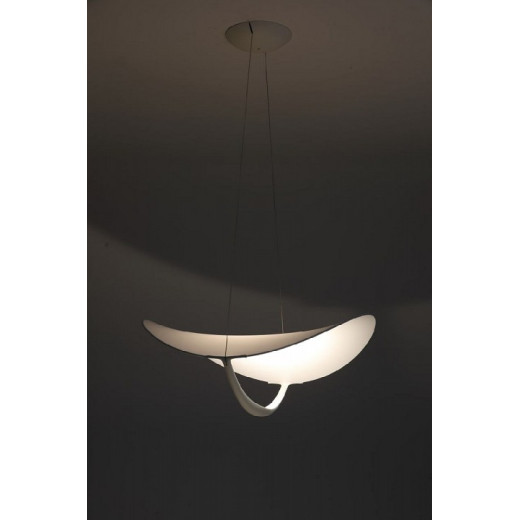 Подвесной светильник Zortes Quincy ZRS.1585.14