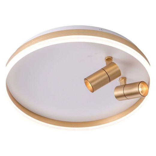 Накладной светильник Zortes Raizy ZRS.1888.02