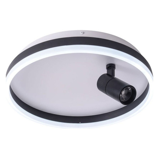 Накладной светильник Zortes Raizy ZRS.1888.03