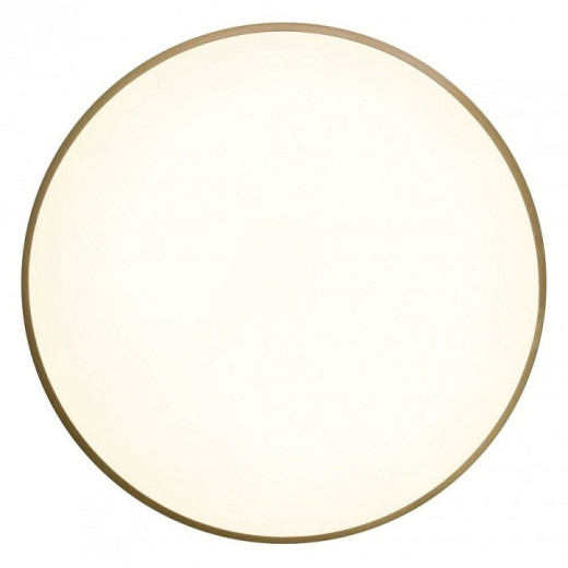 Накладной светильник Zortes Gabby ZRS.90610.50