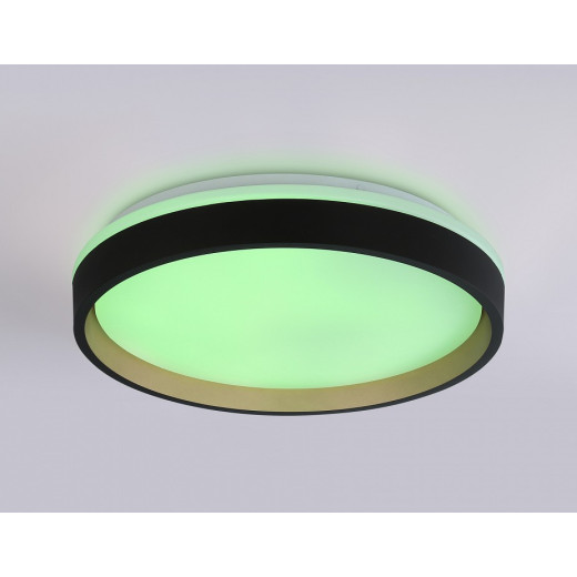 Накладной светильник Ambrella Light FZ FZ604