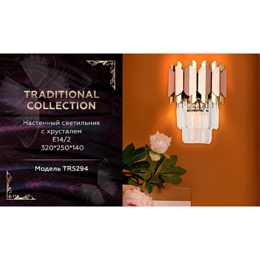 Накладной светильник Ambrella Light TR TR5294