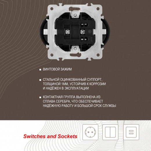 Розетка двойная с заземлением, без рамки Arte Milano am-202 202.40-2.shampan