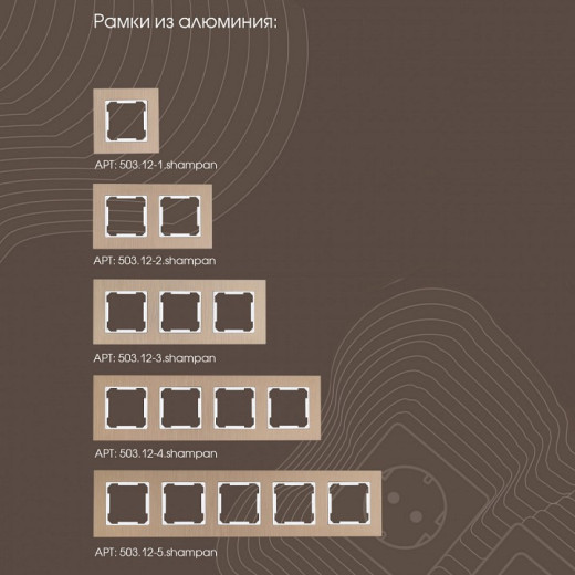 Розетка влагозащищенная с заземлением и со шторкой с крышкой Arte Milano am-203 203.41-1.shampan