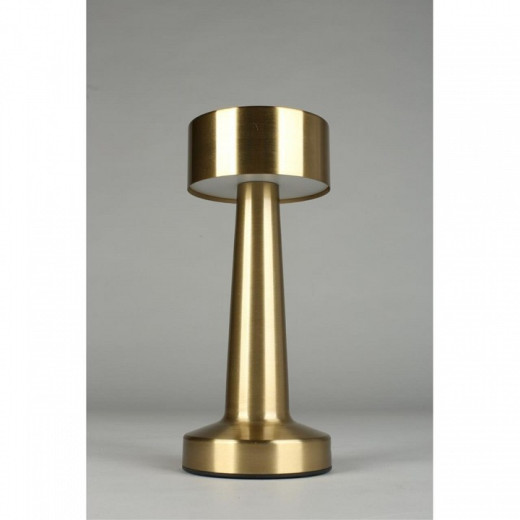 Настольная лампа декоративная Aployt Perrayn APL.671.04.01