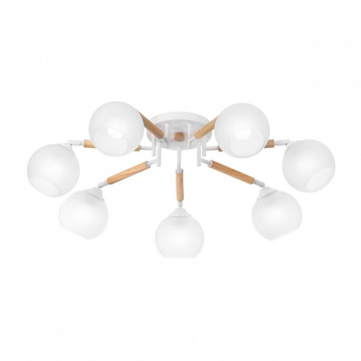 Потолочная люстра Citilux Tika CL133170