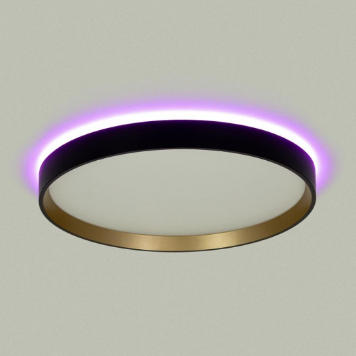 Накладной светильник Citilux ETALON CL750321R