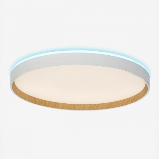 Накладной светильник Citilux ETALON CL750400R