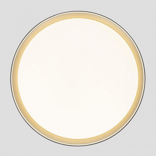 Накладной светильник Citilux BOSS CL751451G