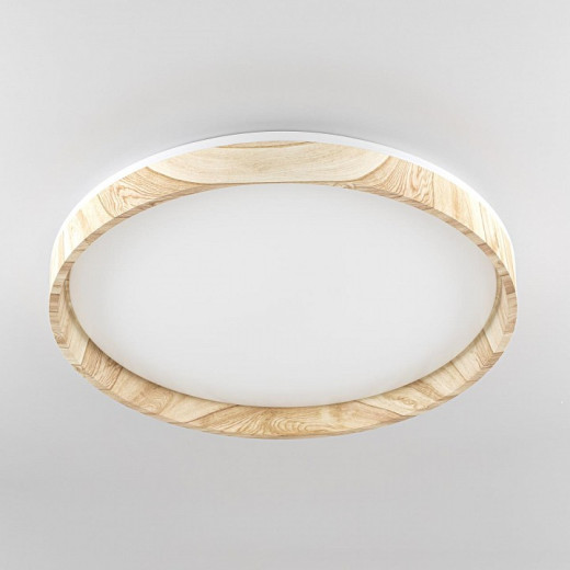 Накладной светильник Citilux ENZO CL753452G