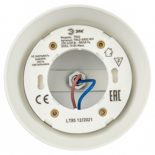 Светильник на штанге Эра  TR42-GX53 WH