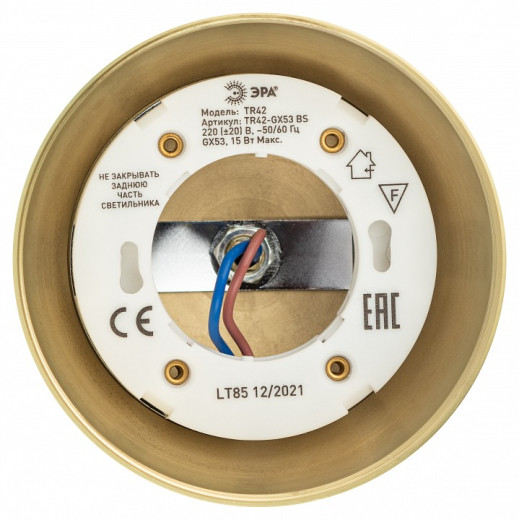 Светильник на штанге Эра  TR42-GX53 BS