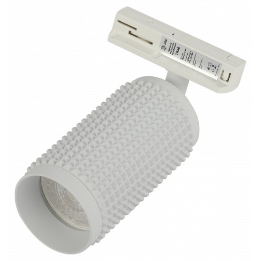 Светильник на штанге Эра  TR40-GU10 WH