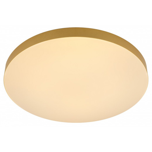 Накладной светильник Эра Relict Relict 48 Pult SPB-6-60-RC MG