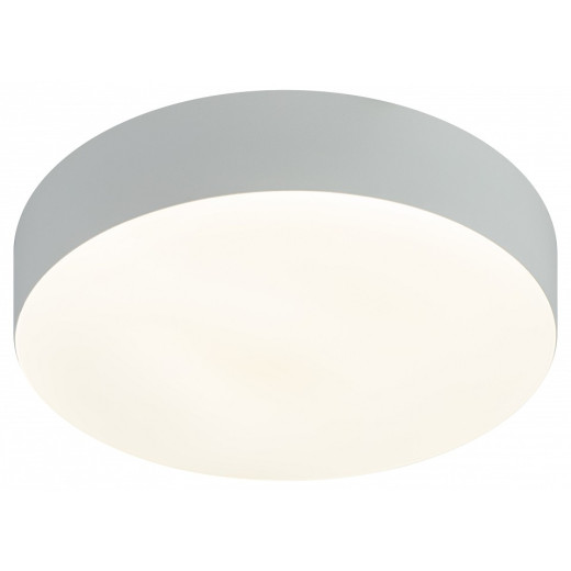 Накладной светильник Эра Relict Relict 22 SPB-6-20 4К WH