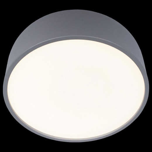 Накладной светильник Loft it Axel 10201/350 Grey