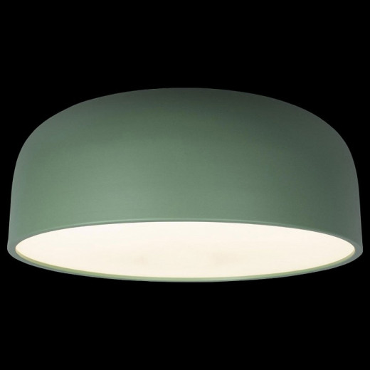 Накладной светильник Loft it Axel 10201/480 Green