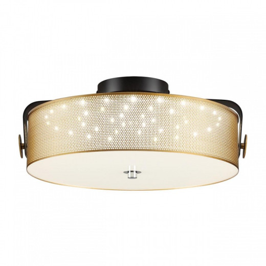 Накладной светильник Lumion Drumy 6597/40L