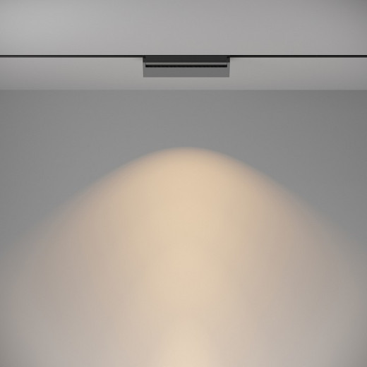 Накладной светильник Maytoni Basis Rot TR075-2-20W3K-B