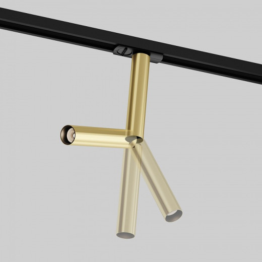 Светильник на штанге Maytoni Focus T TR142-1-6W3K-BS