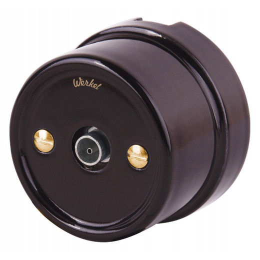 Винт Werkel Ретро (золото) WL18-22-01