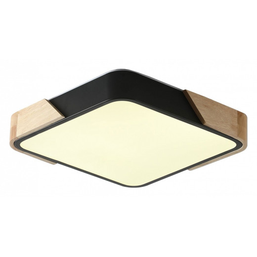 Накладной светильник Zortes Alberro ZRS.01281.24