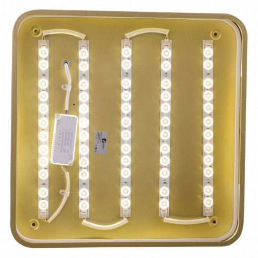 Накладной светильник Zortes Gabby ZRS.1215.03