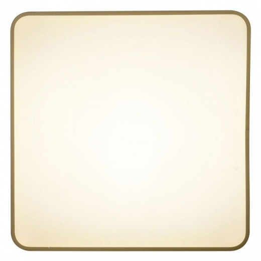 Накладной светильник Zortes Gabby ZRS.1215.04