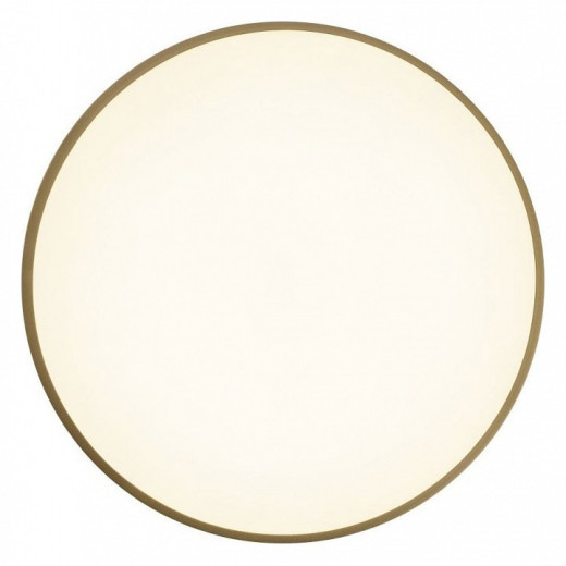 Накладной светильник Zortes Gabby ZRS.90610.40