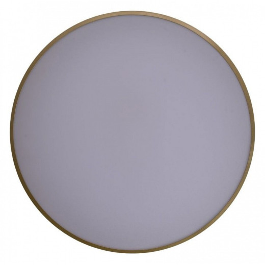 Накладной светильник Zortes Gabby ZRS.90610.50