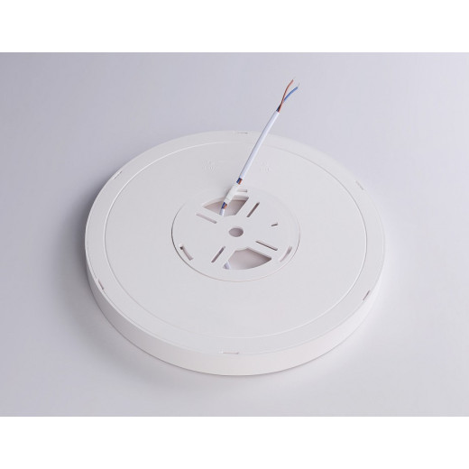 Накладной светильник Ambrella Light FZ FZ1901