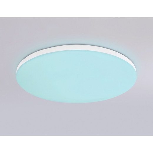 Накладной светильник Ambrella Light FZ FZ2001