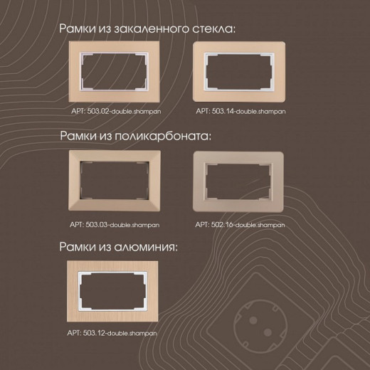 Розетка двойная с заземлением, без рамки Arte Milano am-203 203.40-2.shampan