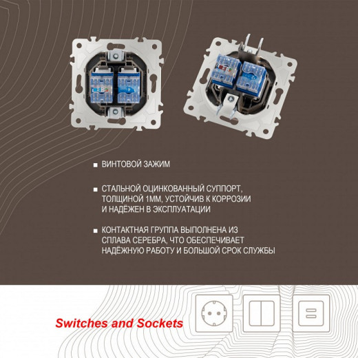 Розетка двойная RJ-11 и Ethernet RJ-45, без рамки Arte Milano am-203 203.44-1.shampan