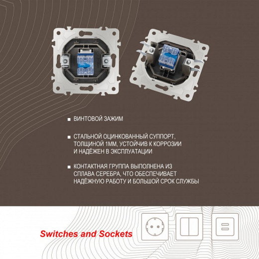 Розетка телефонная RJ-11 без рамки Arte Milano am-203 203.51-1.shampan