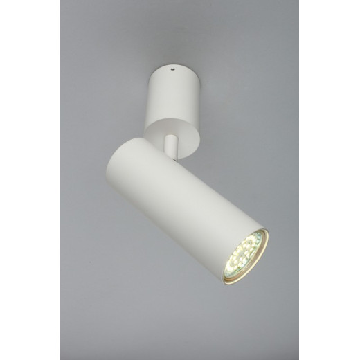 Спот Aployt Berenis APL.007.02.01