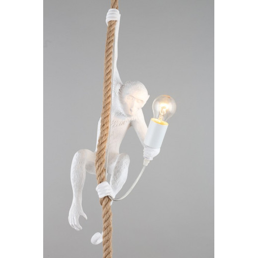 Подвесной светильник Aployt Magali APL.309.06.01