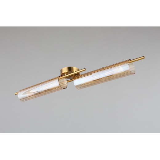 Накладной светильник Aployt Lusia APL.315.07.04