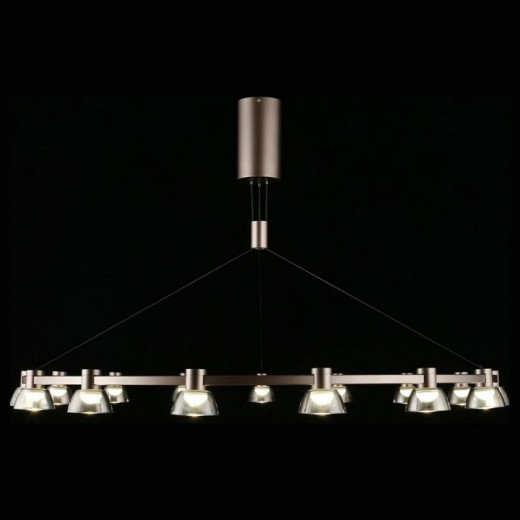 Подвесная люстра Aployt Rezeda APL.788.03.15