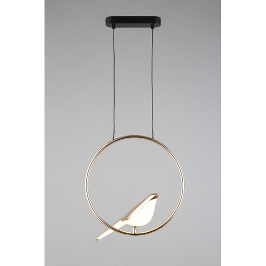 Подвесной светильник Aployt Astor APL.822.06.10